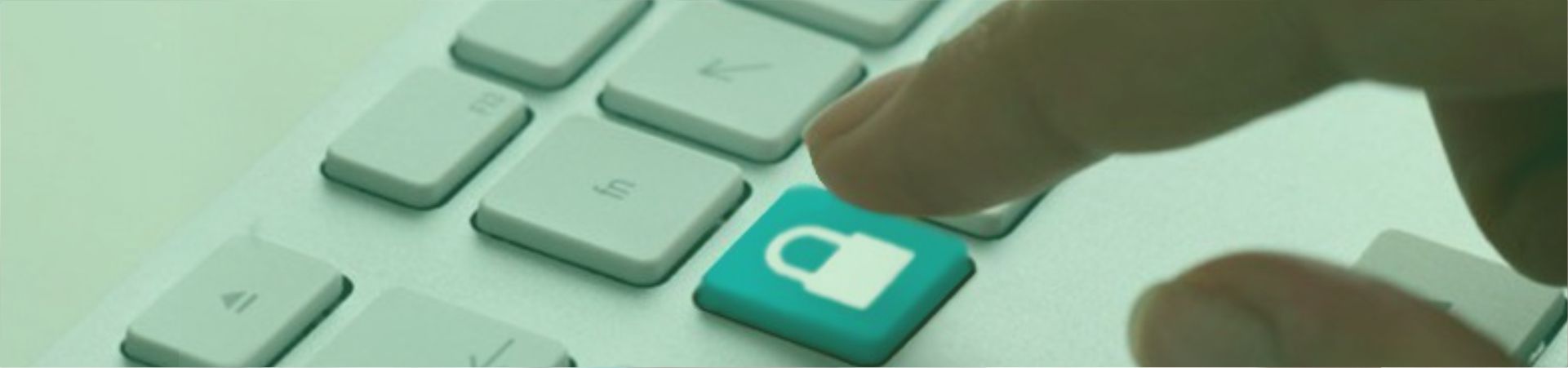 privacidade_efiteg_1