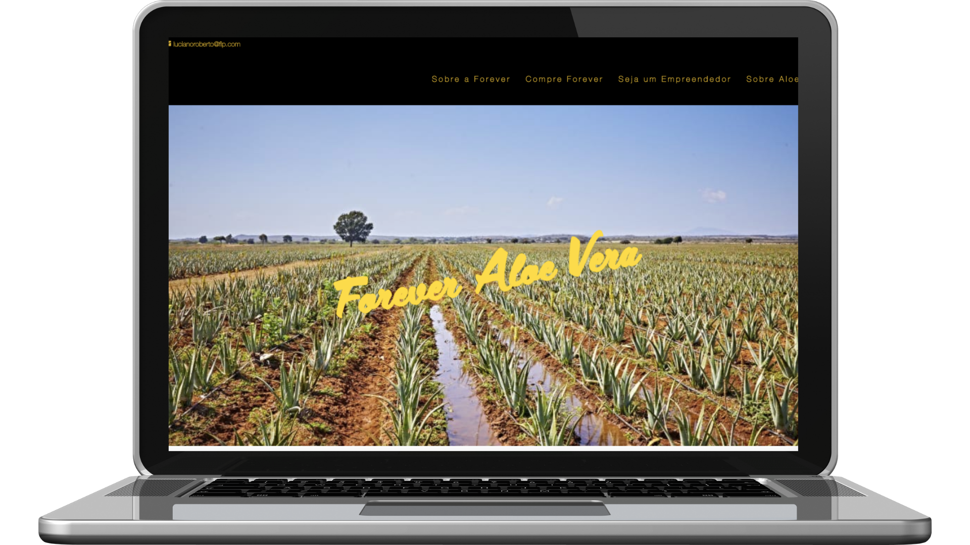 criação de site sites