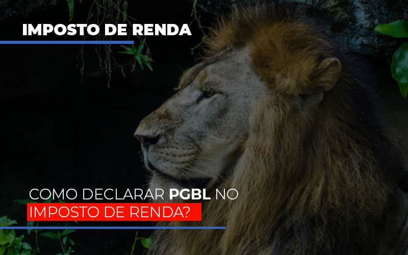 Ir2020:como Declarar Pgbl No Imposto De Renda - Contabilidade Em Campinas | JL Ramos Contabilidade Digital