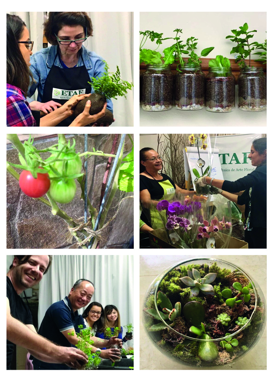 Cursos de arte floral: Horta e Plantas de Varanda Cursos de arte floral: Horta e Plantas de Varanda