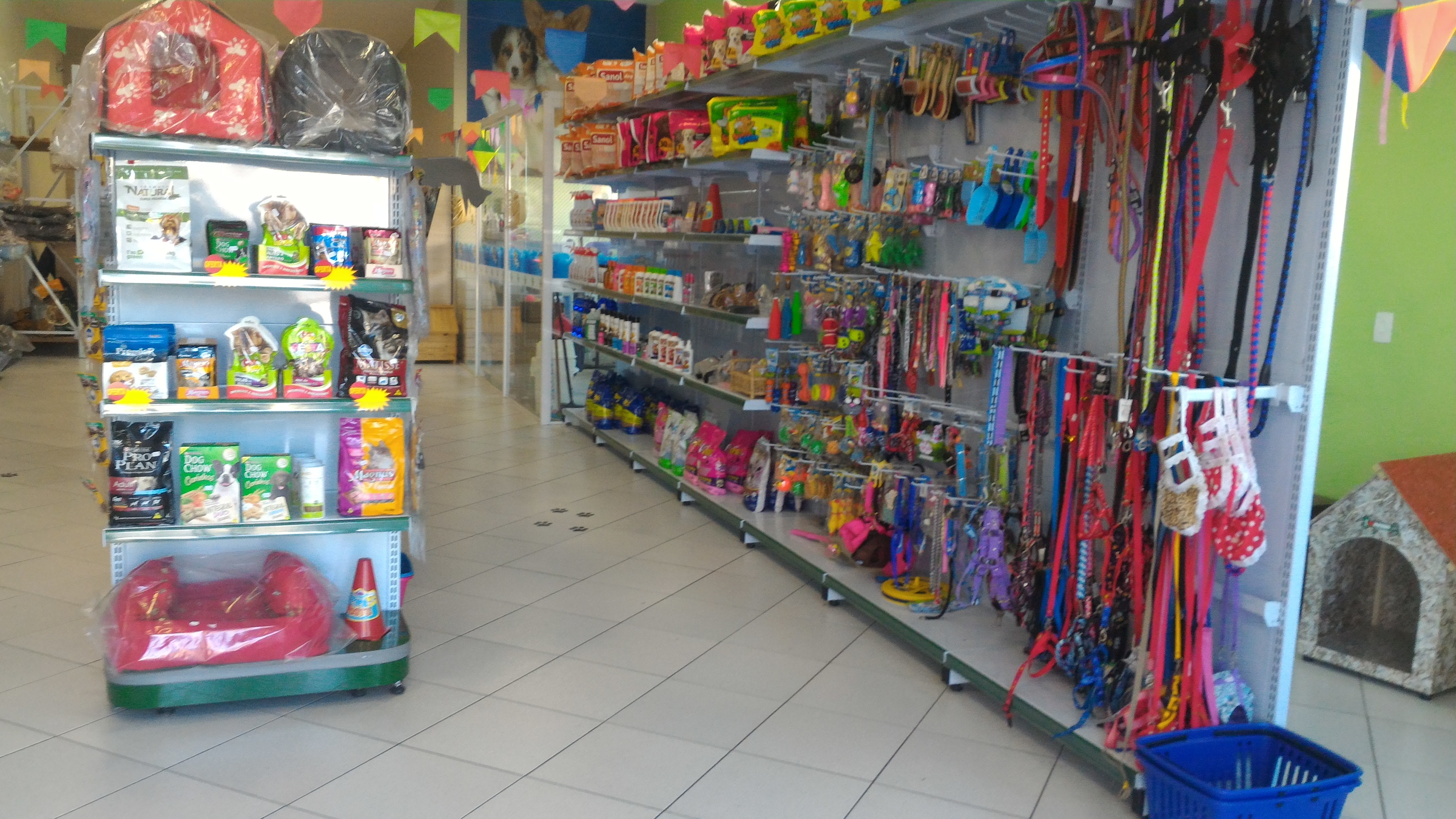 Banho e tosa eloy chaves Clearance