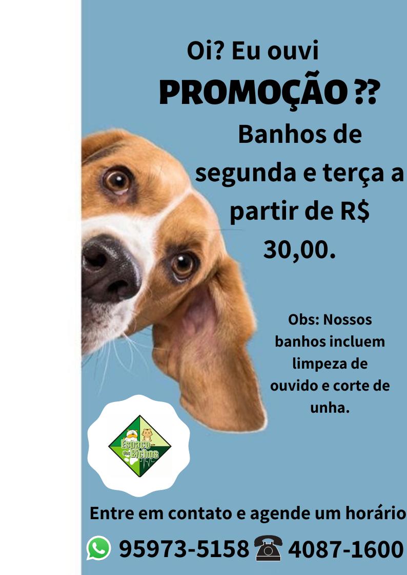 Banho e tosa eloy chaves Clearance