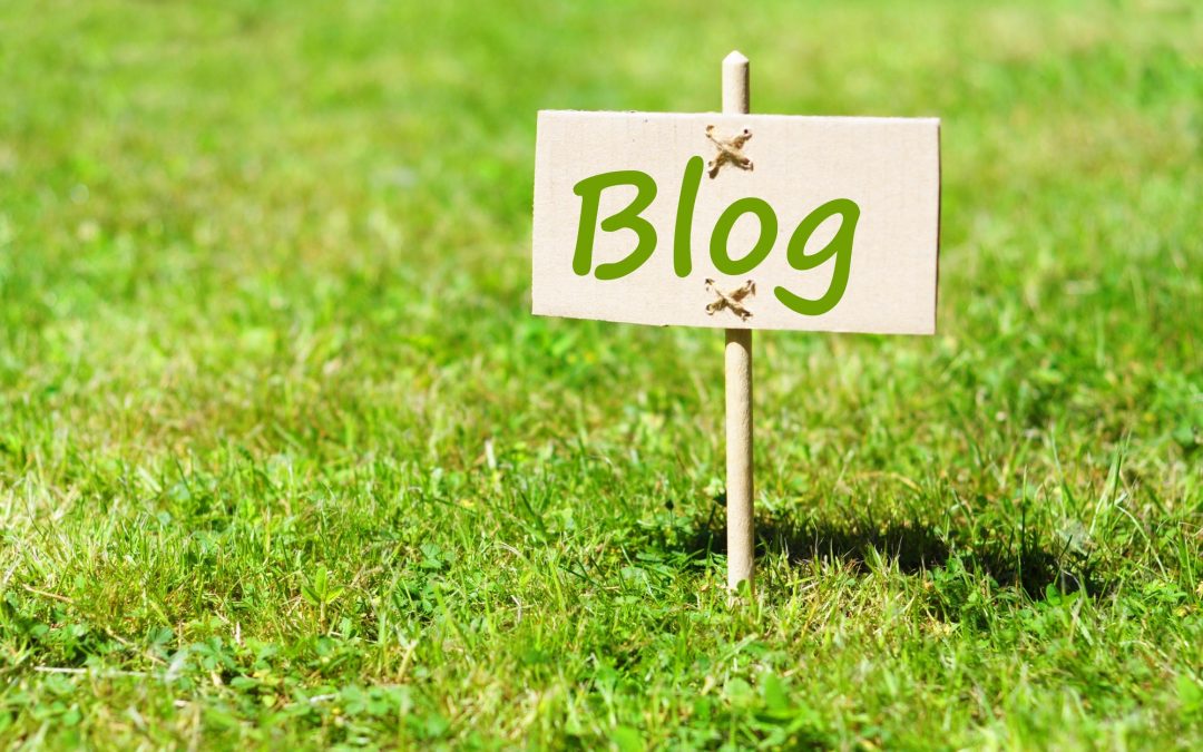 Como fazer a gestão de um blog ?