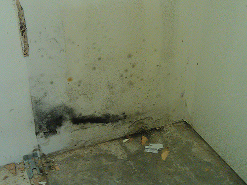 Como tratar infiltração em pisos e garagens
